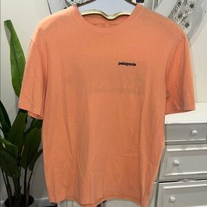 Patagonia Tee 🍑Short-Sleeve Logo Tee
